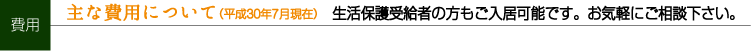 主な費用について